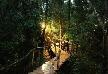 Trogon House And Forest 4*
